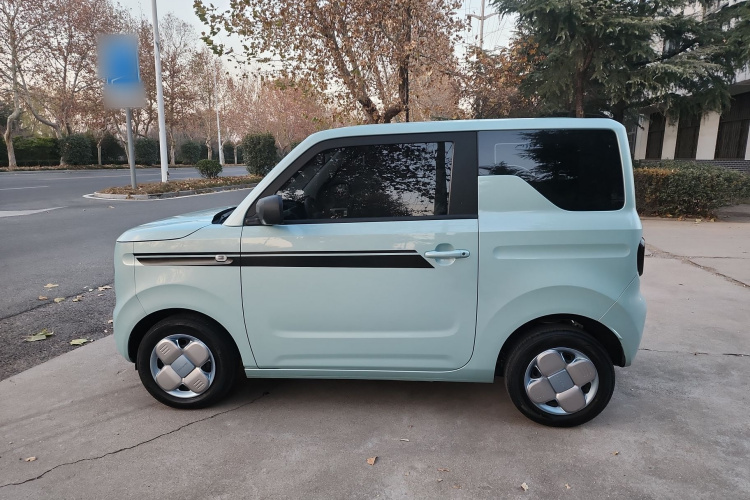 吉利银河 2024款 熊猫mini 200km 耐力熊车身外观6007
