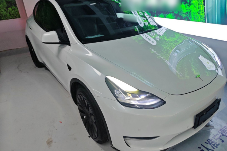 特斯拉 Model Y 2021款 标准续航后驱版车身外观6002
