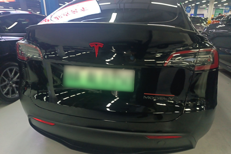 特斯拉 Model Y 2021款 Performance高性能全轮驱动版车身外观6004