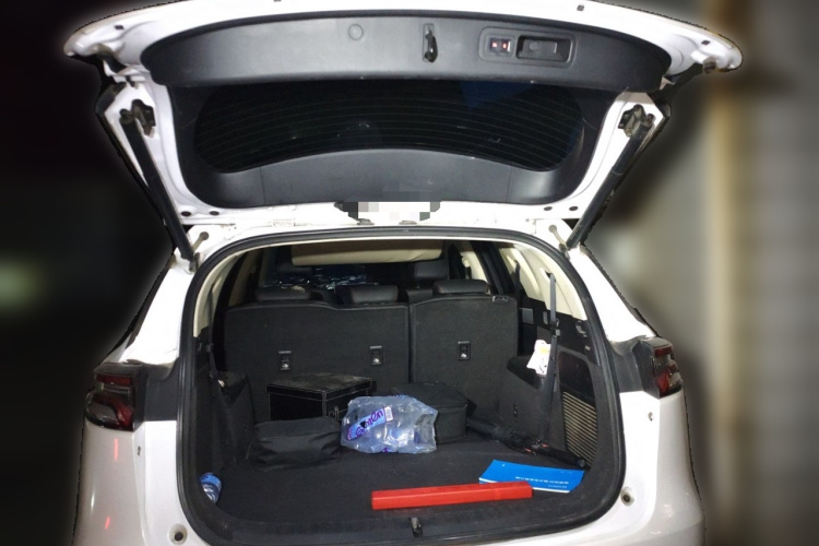 比亚迪 唐新能源 2018款 DM 2.0T 全时四驱智联创睿型 7座 国V局部细节23