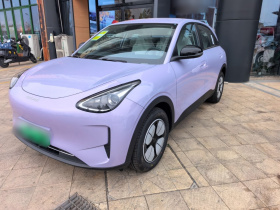 吉利银河 星愿 2026款 310km 青春版