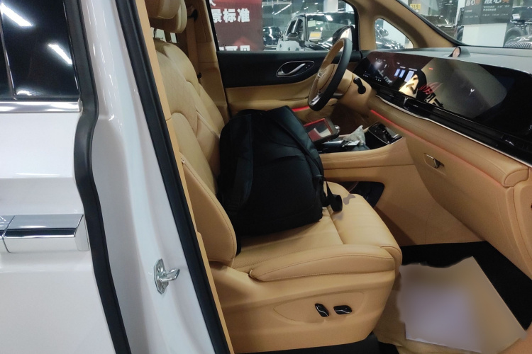 岚图汽车 岚图梦想家 2022款 低碳版 想+智驾包局部细节41
