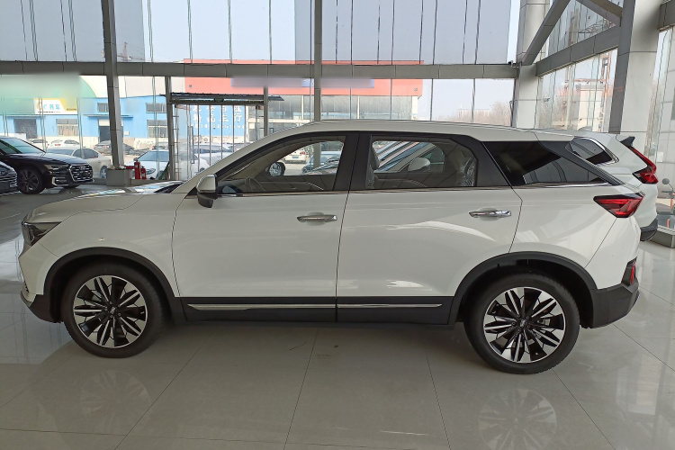 奔腾T77 2021款 PRO 280 TID 定制版车身外观6003