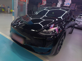 特斯拉 Model Y 2021款 标准续航后驱版