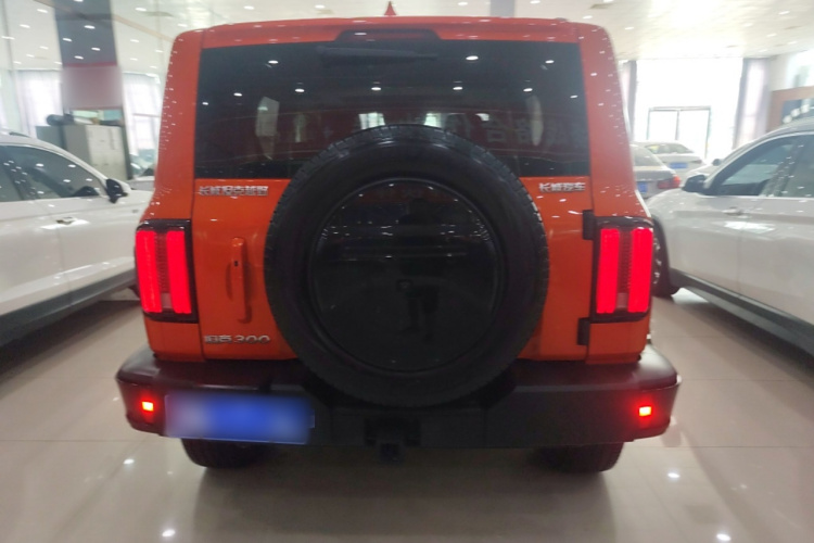 坦克300 2024款 2.0T 穿越者车身外观6