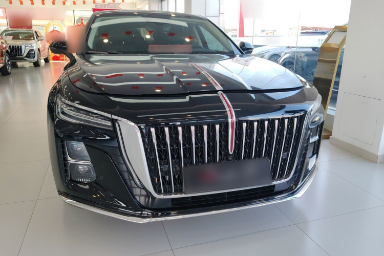 红旗H5 2025款 2.0T 自动旗领版车身外观2