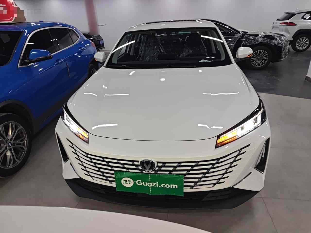 长安 逸动 2025款 蓝鲸 1.5T 500Bar尊贵型(1)