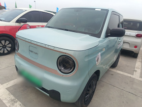 吉利银河 2023款 熊猫mini 200km 耐力熊