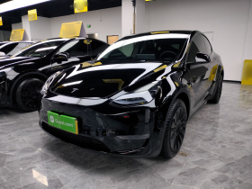 特斯拉 Model Y 2022款 改款 长续航全轮驱动版