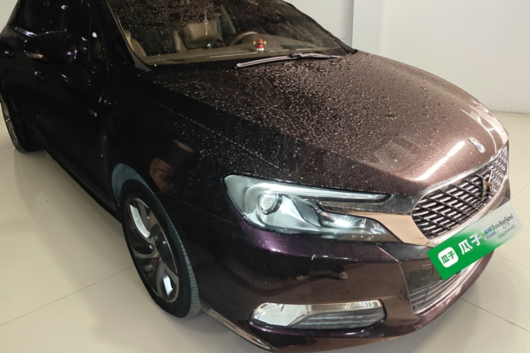 DS 5LS 2014款 1.6T 豪华版THP160车身外观3