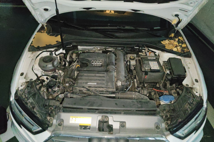 奥迪A3 2020款 Limousine 35 TFSI 时尚型 国VI局部细节24