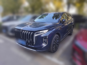 红旗HS7 2023款 2.0T 自动四驱旗畅版 六座