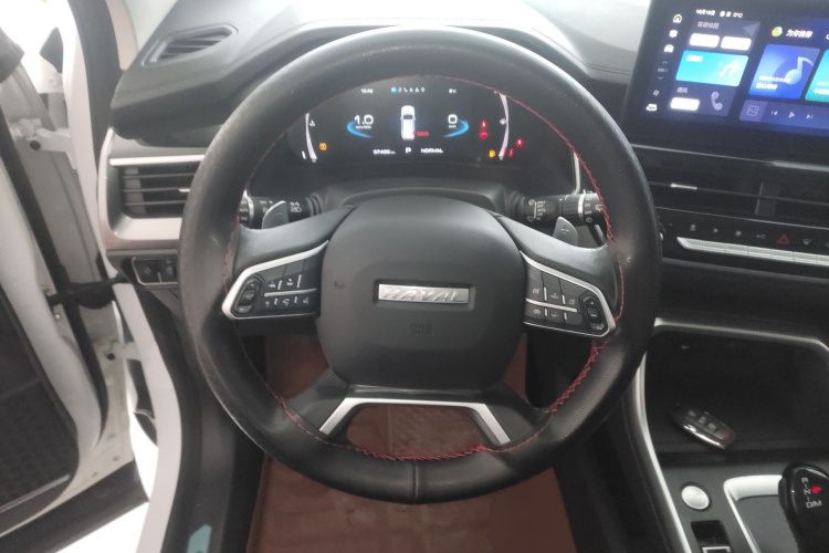 哈弗H6 2021款 国潮版 1.5T 自动冠军版局部细节13