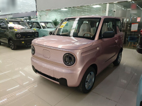 吉利银河 2024款 熊猫mini 200km 耐力熊
