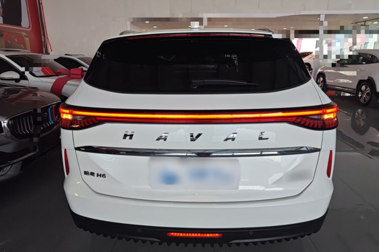 哈弗H6 2024款 1.5T 两驱经典版车身外观6