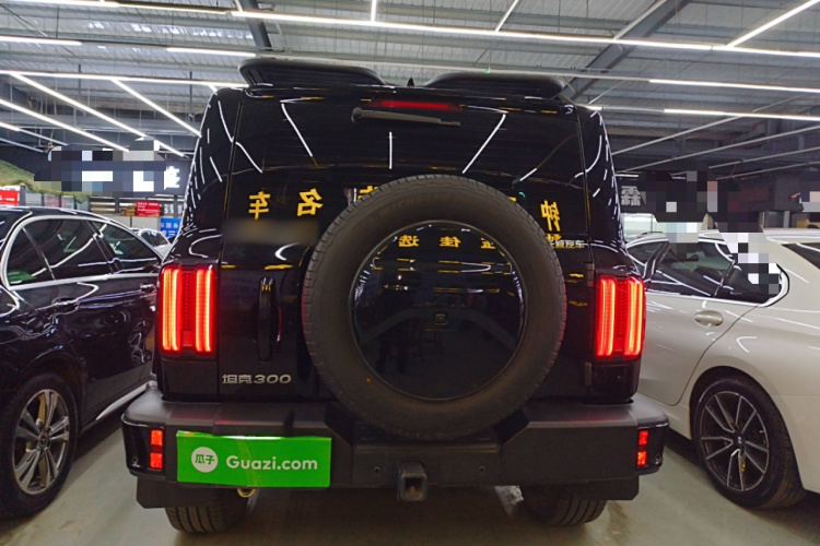 坦克300 2024款 2.0T 穿越者车身外观6004