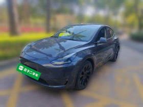 特斯拉 Model Y 2021款 长续航全轮驱动版
