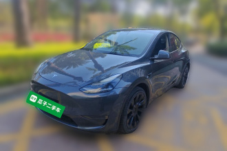 特斯拉 Model Y 2021款 长续航全轮驱动版