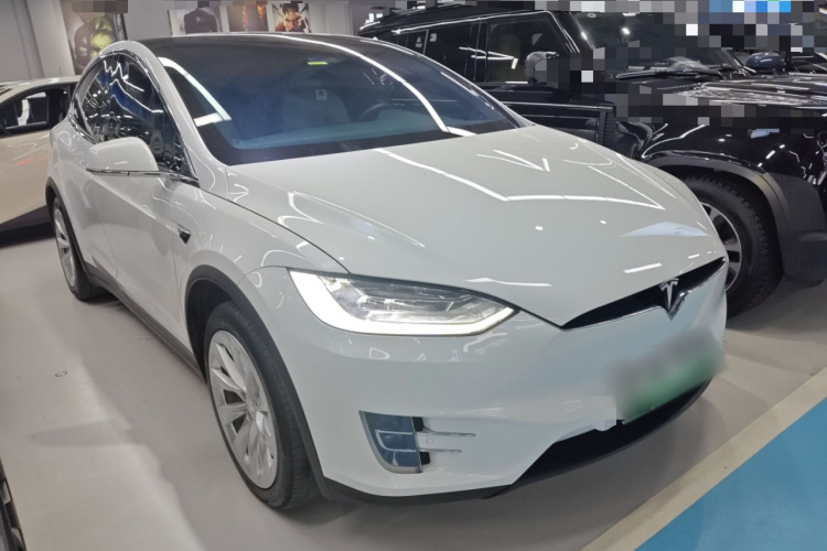 特斯拉 Model X 2019款 长续航版车身外观3
