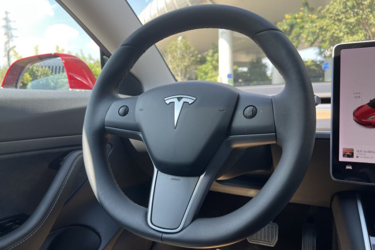 特斯拉 Model 3 2020款 改款 标准续航后驱升级版局部细节9006