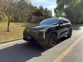 哈弗H6 2024款 1.5T 两驱Pro