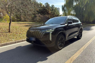 哈弗H6 2024款 1.5T 两驱Pro