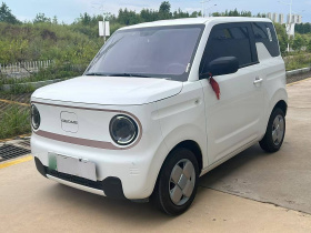 吉利汽车 2024款 熊猫mini 200km 耐力熊
