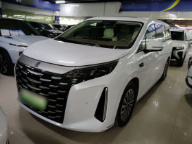 比亚迪 夏 2025款 DM-i 1.5T 180km 卓越型