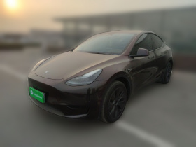 特斯拉 Model Y 2024款 后轮驱动版