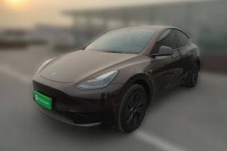 特斯拉 Model Y 2024款 后轮驱动版