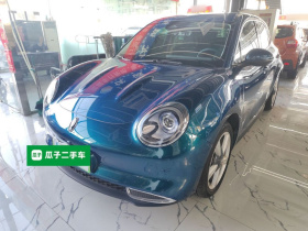 欧拉好猫 2021款 400km标准续航 维纳斯版 三元锂