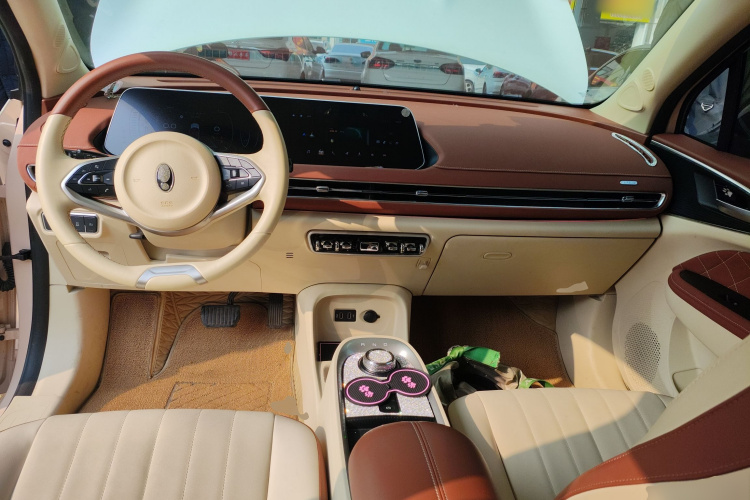 欧拉好猫 2021款 400km标准续航 维纳斯版 三元锂中控内饰7002