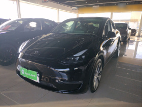 特斯拉 Model Y 2022款 长续航全轮驱动版