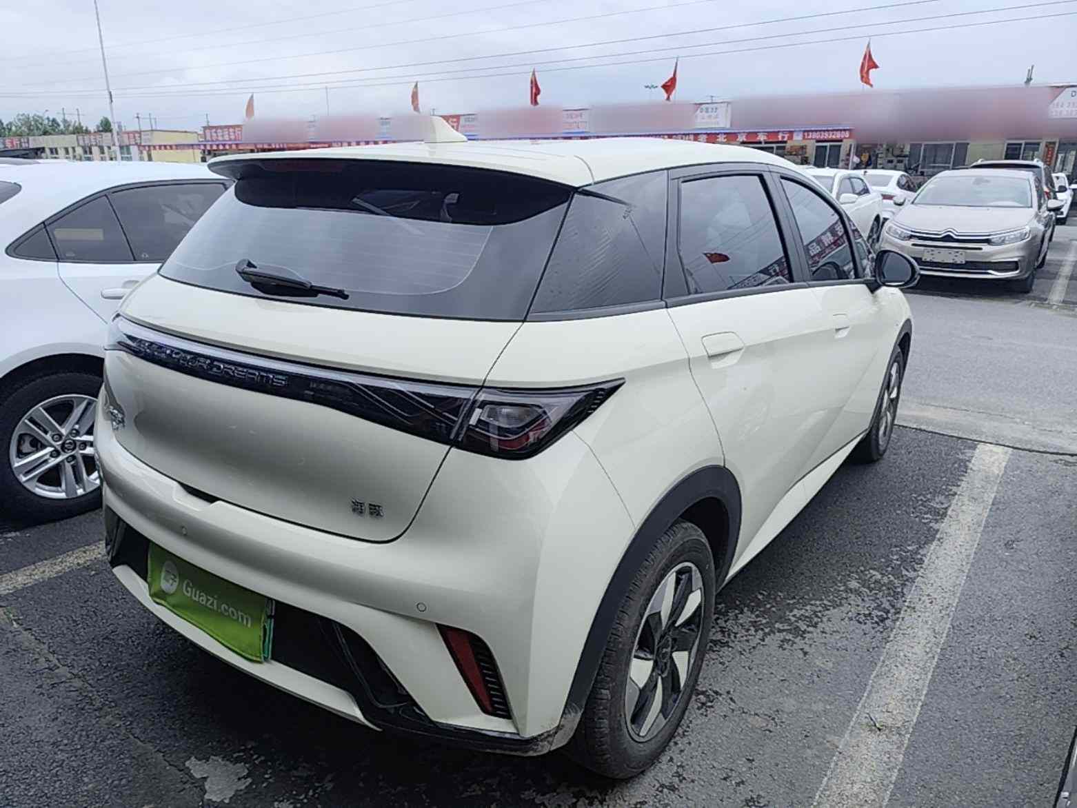 比亚迪 海豚 2025款 420km 自由版(5)
