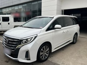 广汽传祺 传祺M8 2020款 领航款 390T 尊贵版