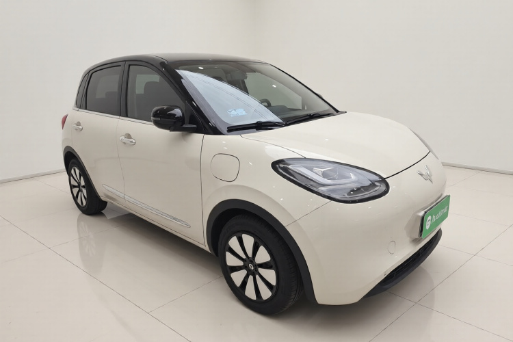 五菱汽车 五菱缤果 2023款 333km 灵犀互联+款车身外观3