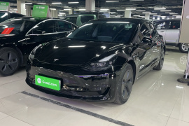 特斯拉 Model 3 2021款 改款 标准续航后驱升级版 3D1