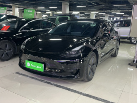 特斯拉 Model 3 2021款 改款 标准续航后驱升级版 3D1