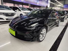 特斯拉 Model 3 2019款 标准续航后驱升级版