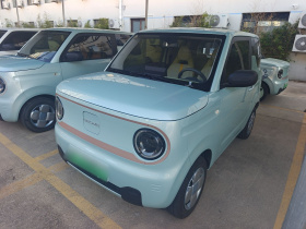 吉利银河 2024款 熊猫mini 200km 耐力熊