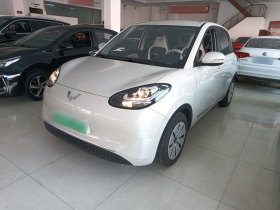 五菱汽车 五菱缤果 2023款 203km 轻享款