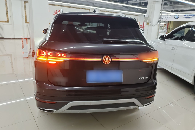 大众 探岳 2024款 300TSI 两驱豪华Plus进阶版车身外观6