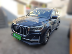 SWM斯威汽车 SWM斯威G05 2019款 1.5T 自动精英型