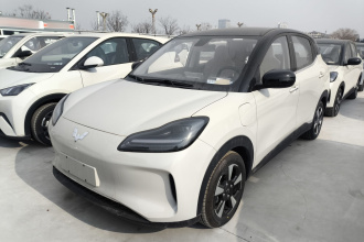 五菱汽车 五菱缤果PLUS 2024款 330km 五座版