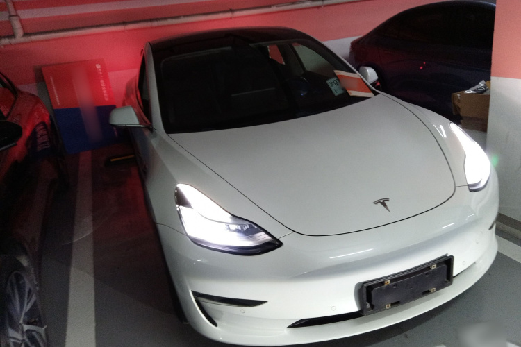 特斯拉 Model 3(进口) 2019款 长续航后驱版车身外观3