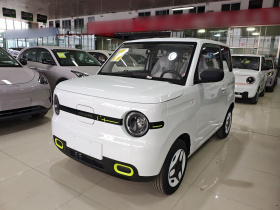 吉利银河 熊猫 2025款 210km 元气熊