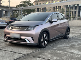 比亚迪 海豚 2021款 401km 骑士版