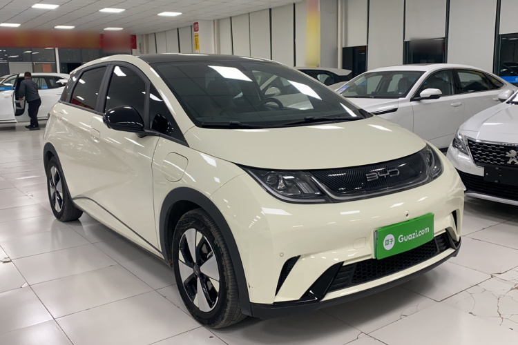 比亚迪 海豚 2023款 420km 时尚版车身外观6002