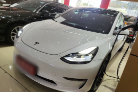 特斯拉 Model 3 2021款 Performance高性能全轮驱动版 3D6