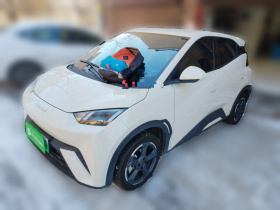 比亚迪 海鸥 2023款 飞翔版